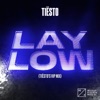 Lay Low (Tiësto VIP Mix) - Single