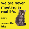 We Are Never Meeting in Real Life - Samantha Irby