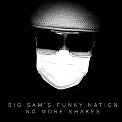 No More Shakes - Single