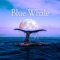 Blue Whale - Nadan lyrics
