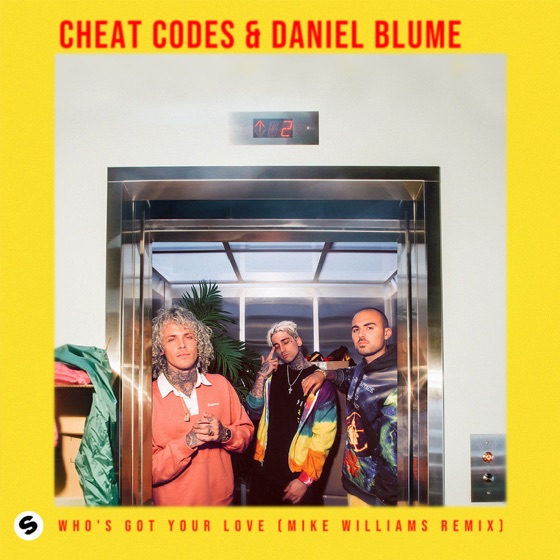 Cover artwork for Who's Got Your Love (Mike Williams Remix)
