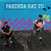 Parinda Hai Tu artwork