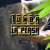 Tumba la Plasa artwork