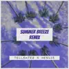 Summer Breeze (feat. Menace) [Remix] - Single album lyrics, reviews, download
