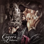 Covers for Lovers artwork