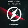 Stream & download In the Dark - Single