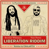 Liberation artwork