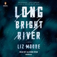 Liz Moore - Long Bright River: A Novel (Unabridged) artwork