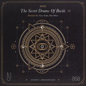 The Secret Drums of Bwiti - EP artwork