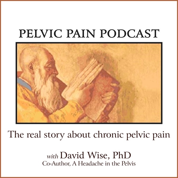 Pelvic Pain Podcast The Real Story About Chronic Pelvic Pain