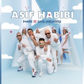 Asif Habibi (feat. Fnaire) artwork