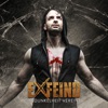 In Dunkelheit vereint - Single