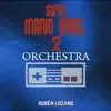 Overworld Orchestra (From "Super Mario Bros. 2") - Single album lyrics, reviews, download