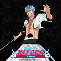 bleach episodes subtitles