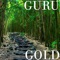 Baba God (feat. Iyk-Wonder) - Guru lyrics