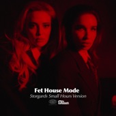 Fet House Mode (Storgards Small Hours Version) artwork