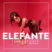 Elefante (ToldorTunes Remix) artwork