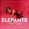 Elefante (ToldorTunes Remix) artwork