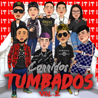 Natanael Cano - Corridos Tumbados, Vol. 2 artwork