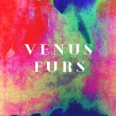 Venus Furs - Page Before