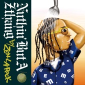 Nuthin' But a Z Thang (mixed by ZEN-LA-ROCK) artwork