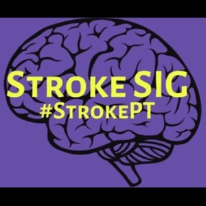 Episode 7: Physical Activity and Exercise After Stroke