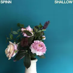 Shallow - Single by SPINN album reviews, ratings, credits