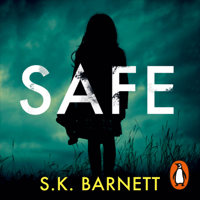 S. K. Barnett - Safe artwork