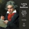 Violin Sonata No. 1 in D Major, Op. 12: I. Allegro con brio artwork