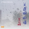 王萌 - 北极星的眼泪