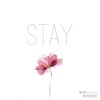 Stay - Single