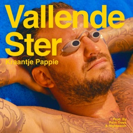 Vallende Ster Single By Kraantje Pappie On Apple Music