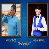 Tek Sevdiğim (feat. Murat İnce) artwork