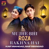 Mujhe Bhi Roza Rakhna Hai artwork