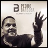Pedro Barbosa - 25 to Life