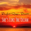 She's Like the Ocean - Single