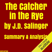 David Harrison - The Catcher in the Rye by J.D. Salinger - Summary & Analysis (Unabridged) artwork