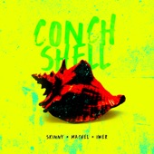 Conch Shell artwork