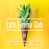 Verschiedene Interpreten - Latin Flavour Club - The Very Best Of II artwork