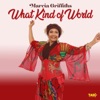 What Kind of World - Single
