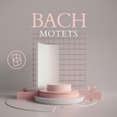 Bach: Motets artwork