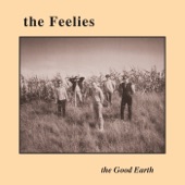 The Feelies - On The Roof