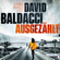 David Baldacci - Ausgezählt