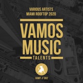 Miami Rooftop 2020 artwork