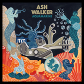 Finishing Touch (feat. Laville) - Ash Walker