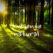 Ambiente Natural artwork