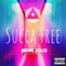 Succa Free (Clean) - Madame Ashley lyrics