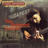 The Budapest Concert artwork