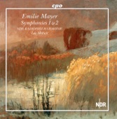 Symphony No. 2 in E Minor: II. Scherzo artwork