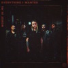 Everything I Wanted - Single